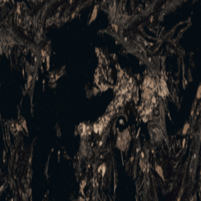 Text