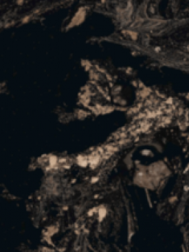 Bien 60x120 Magnıfıque Black Rektifiyeli