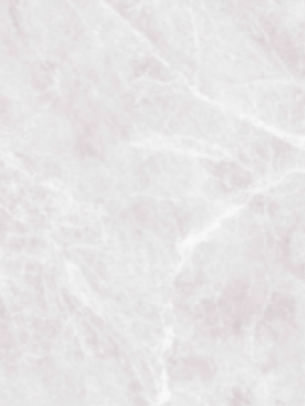 Bien 60x120 Las Palmas Gri Rektifiyeli 