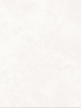 Bien  60x120 Crag White Rektifiyeli 