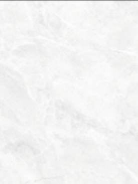 Bien 60x120 Las Palmas White Rektifiyeli